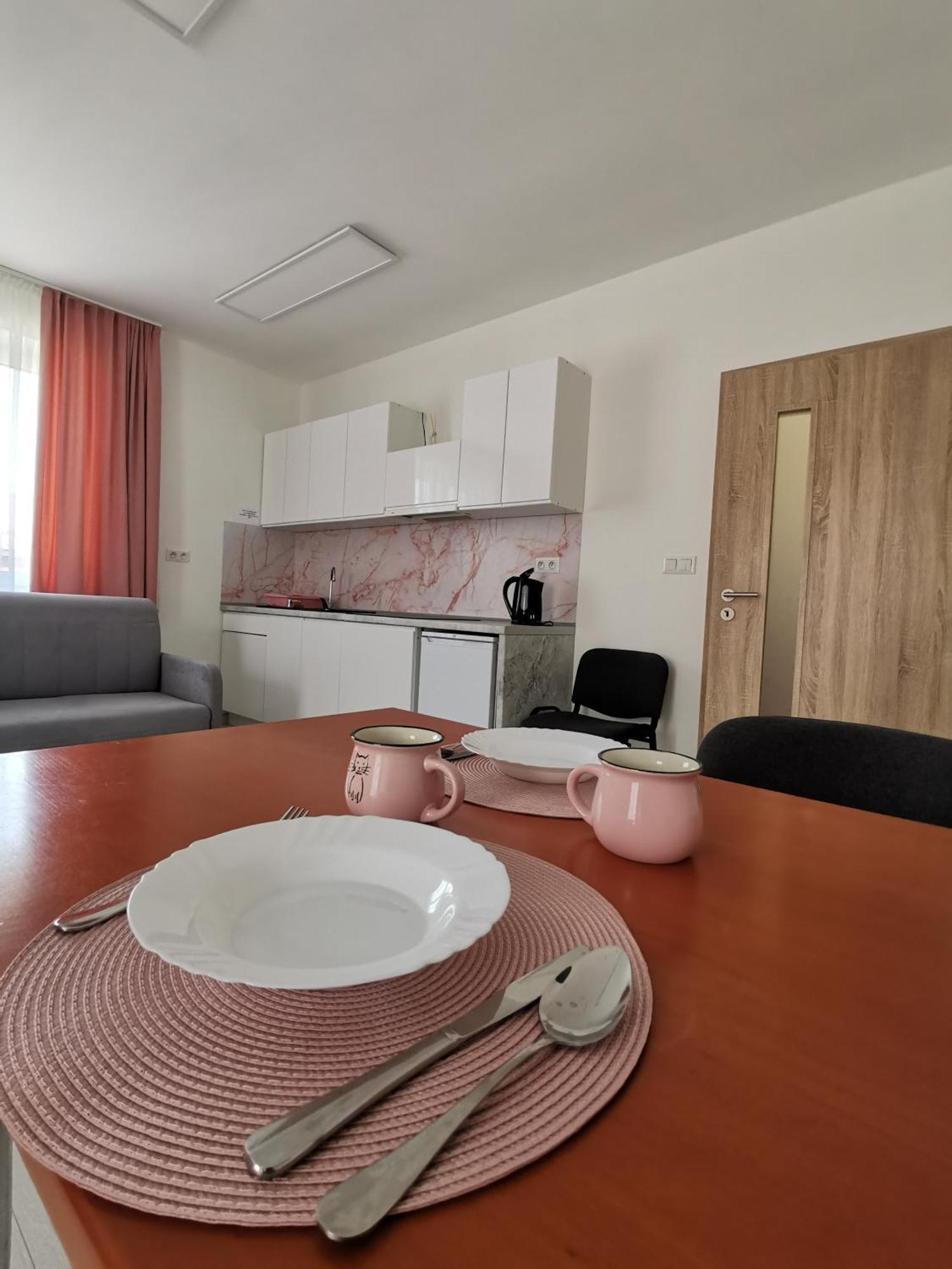 Comenius Apartments - Apartmany Na Rohu Svidnik Exteriör bild